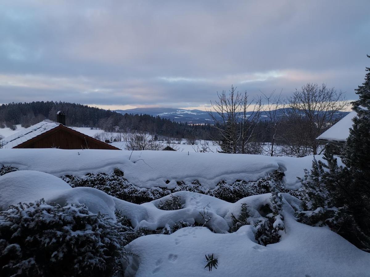 Ferienwohnungen "Haus Daxberg" Idyllisch Gelegen Im Bayerischen Wald Eppenschlag Eksteriør billede