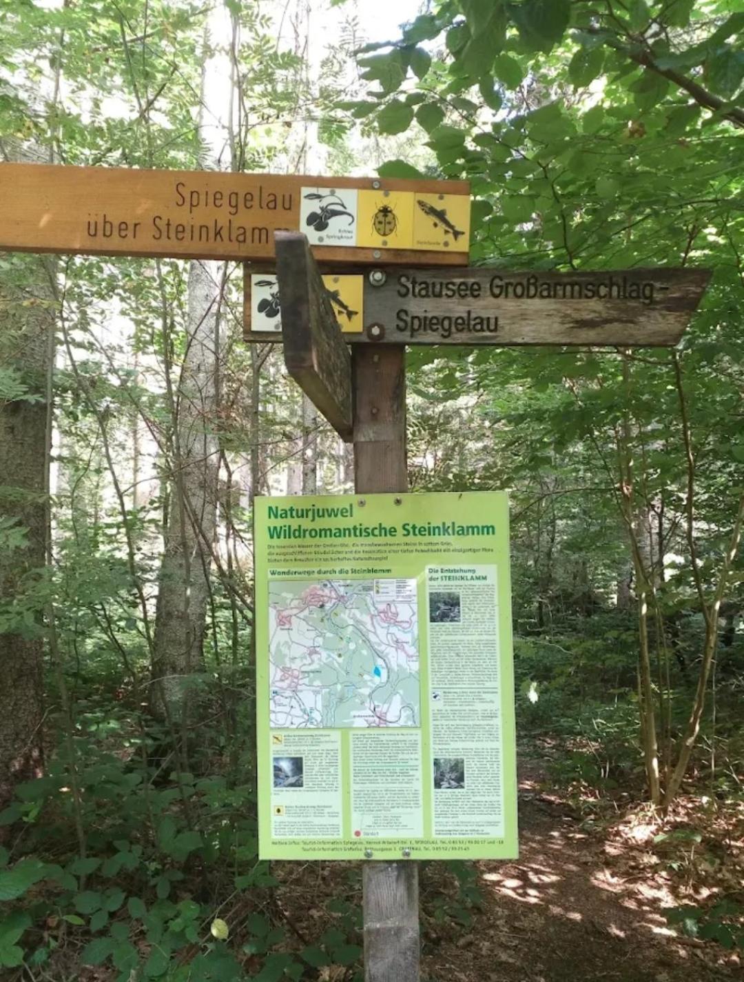 Ferienwohnungen "Haus Daxberg" Idyllisch Gelegen Im Bayerischen Wald Eppenschlag Værelse billede